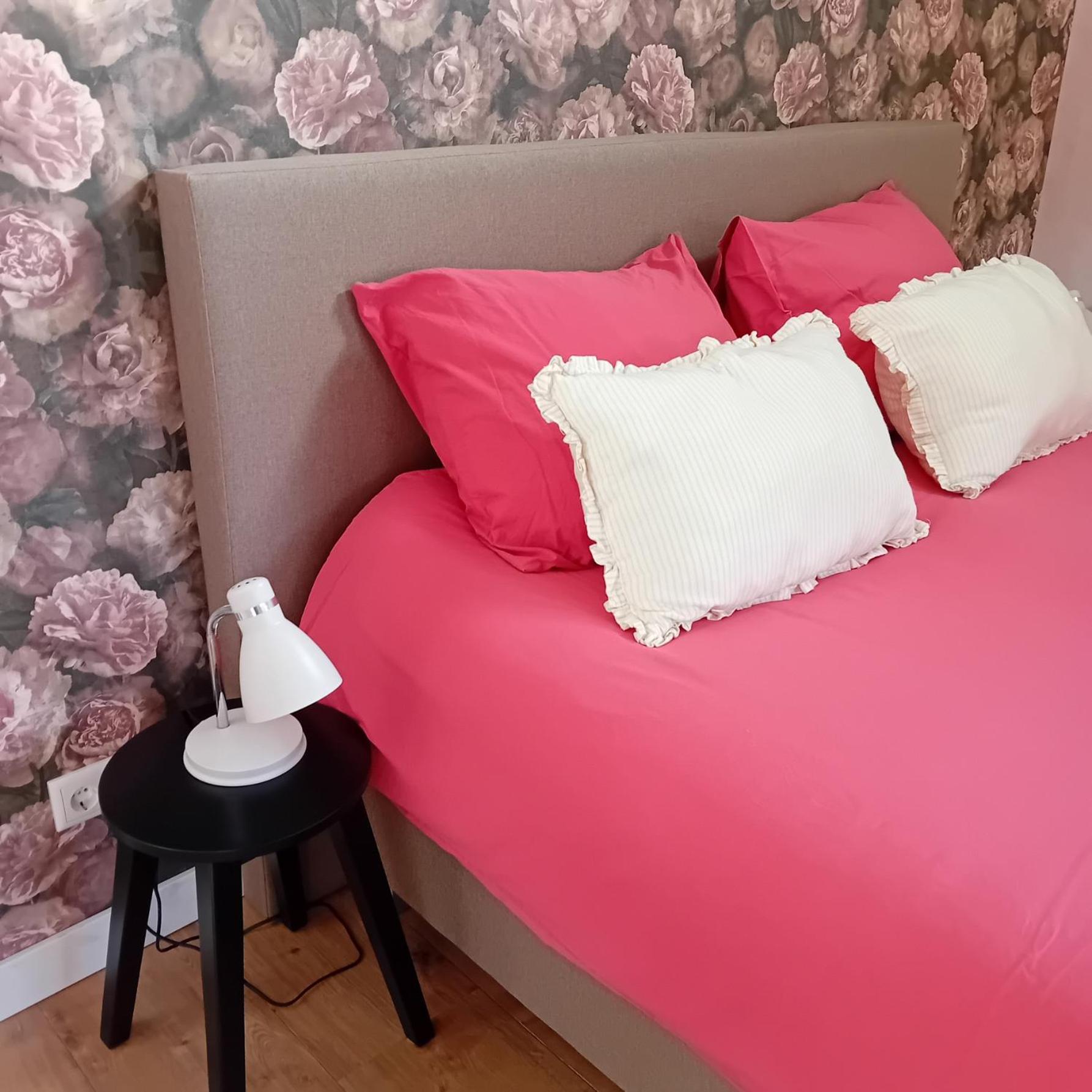 Boukje Har Bed En Brochje Bed & Breakfast Burgum ภายนอก รูปภาพ